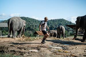 BIB: 
                            <button type="button" onclick="openModal(22423632)" class="btn btn-primary btn-sm float-right btn-popup" data-toggle="modal" data-target=".modal-high-quality">
                        <i class="fas fa-shopping-cart"></i> Add to Cart
                    </button>
                                            <button type="button" onclick="isThisMe(22423632, true)" class="btn btn-success btn-sm float-right btn-popup btn-isme hidden" data-toggle="tooltip" data-placement="bottom" title="นี่คือรูปของคุณใช่ไหม คลิกที่นี่เพื่อเอาเข้าอัลบั้ม">
                        <i class="fas fa-plus"></i> Add to album
                    </button>
                    <button type="button" onclick="isThisMe(22423632, false)" class="btn btn-warning btn-sm float-right btn-popup btn-isnotme hidden">
                        <i class="fas fa-ban"></i> Remove from album
                    </button>